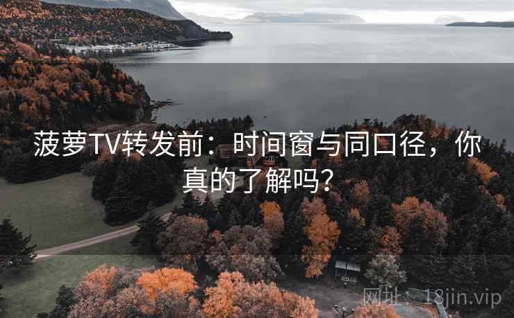 菠萝TV转发前：时间窗与同口径，你真的了解吗？